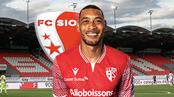 Guillaume hoarau fc sion